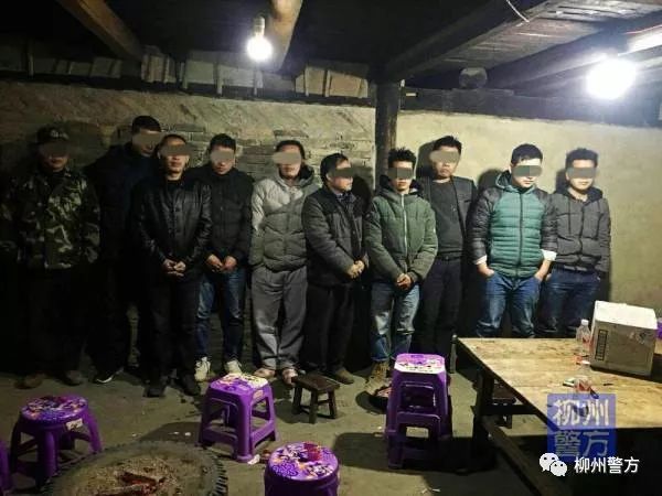 全国开展专项打击赌博违法行为,柳州专项打击整治行动