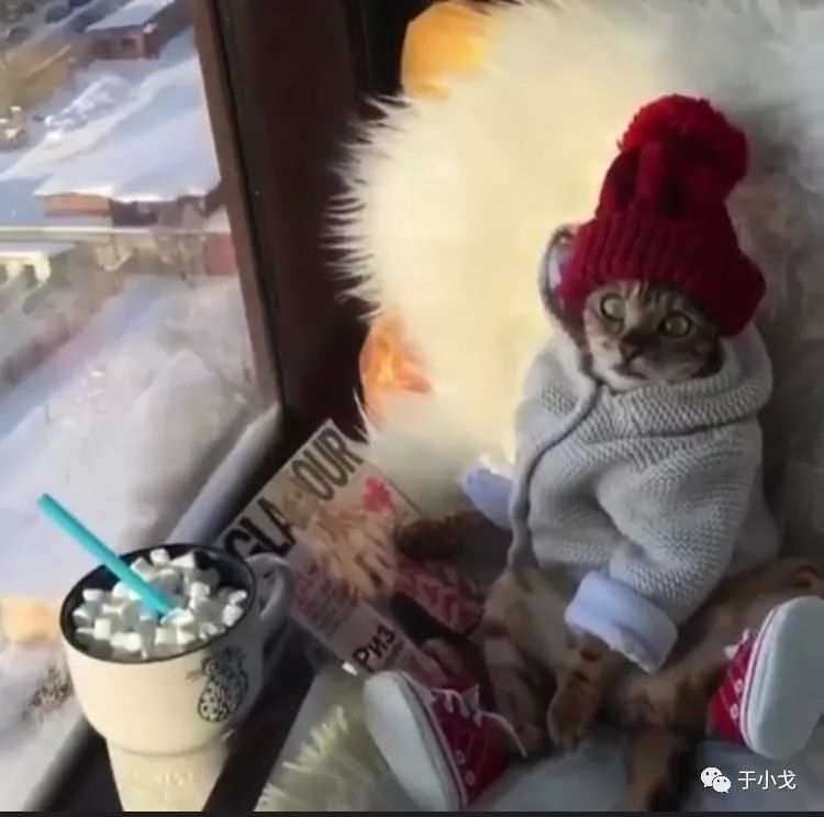 空瓶记20个产品,空瓶记一季度