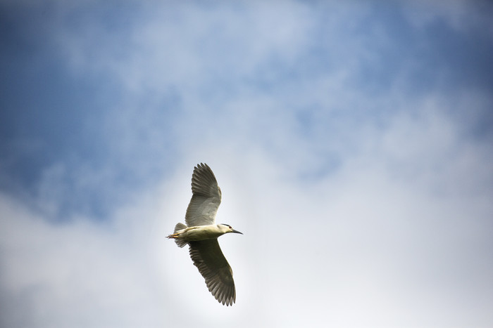 佳能ef70-200f4三代评测,佳能红圈ef100-3005.6