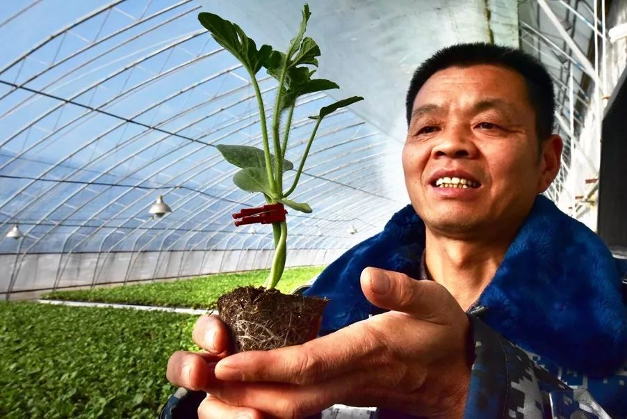 洛阳日报孟津讲了啥,洛阳日报孟津