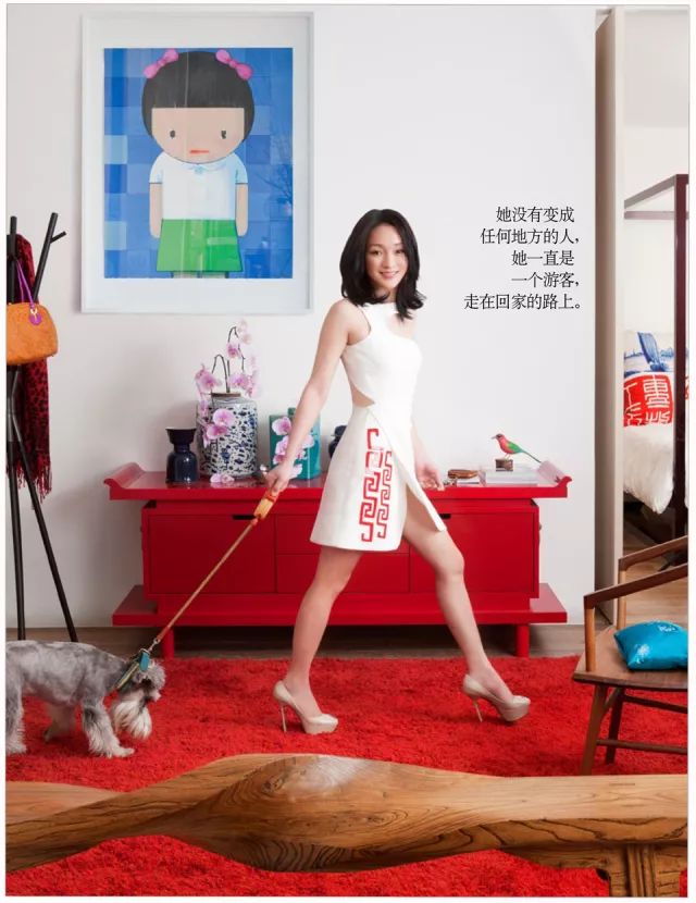 狗年除夕夜｜那些上过《安邸AD》的狗朋友们怎么样了？