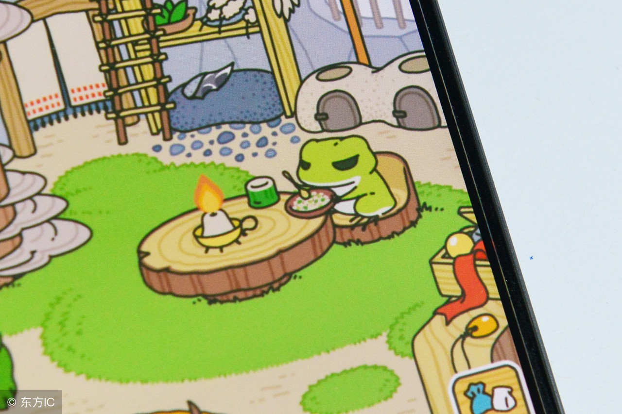 一位养蛙“老母亲”悟出的育儿真理，看你是否也一样双手举高赞成