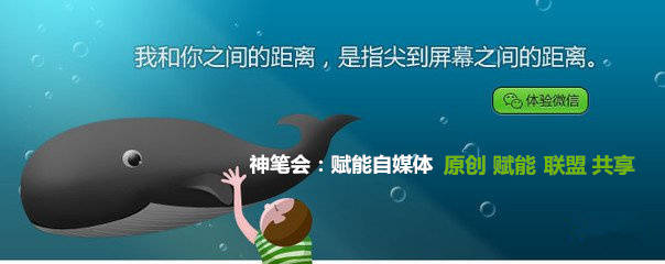 自媒体矩阵推广计划方案,推广自媒体矩阵功能