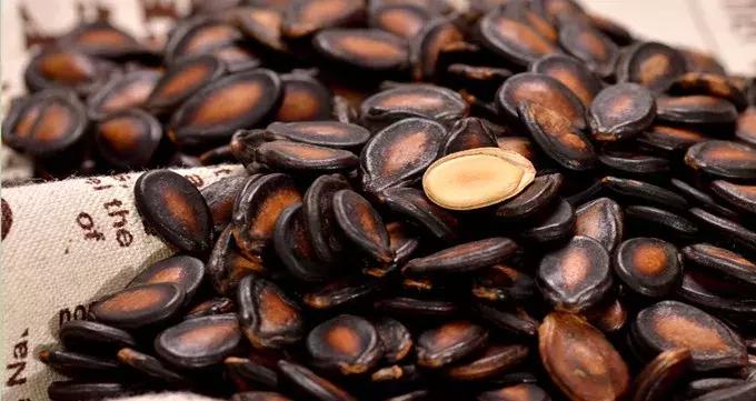 放假归来带的特产,适合给家人带的兰州特产