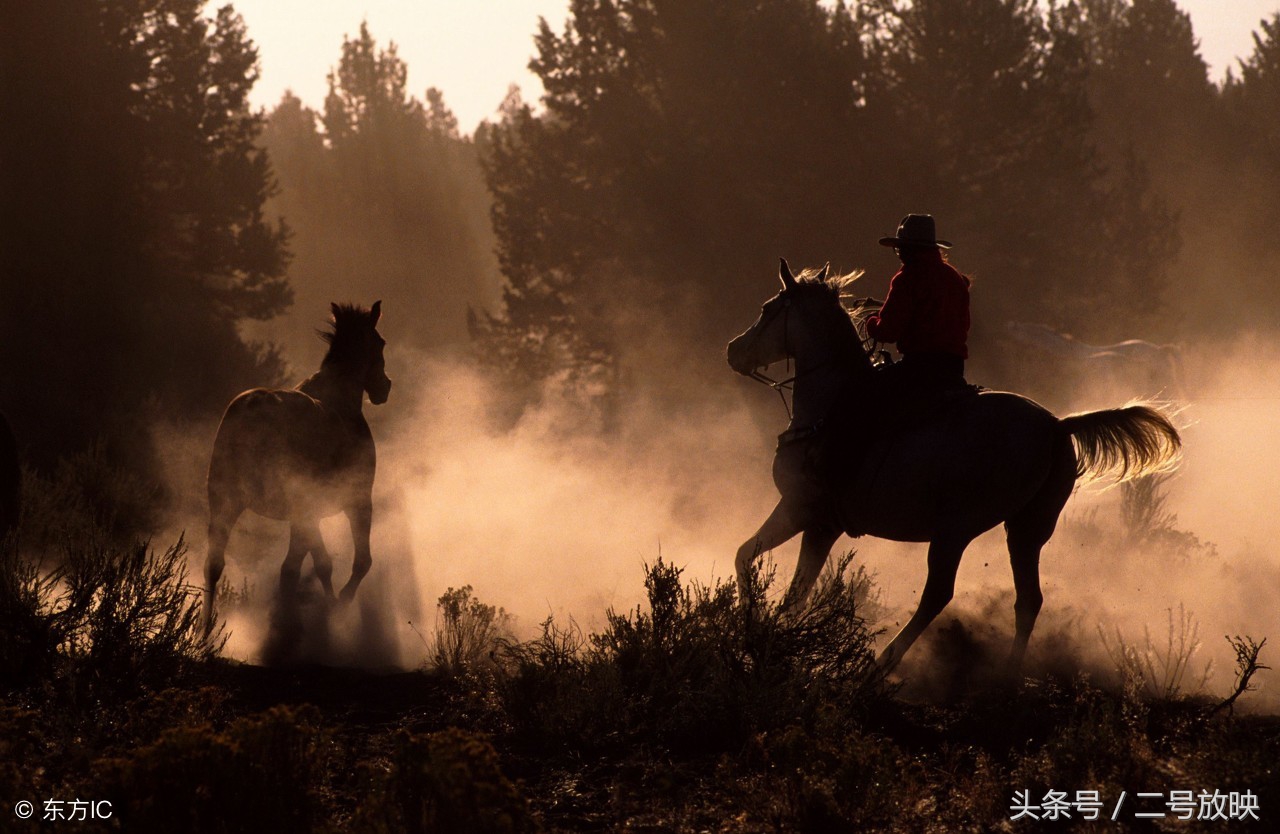 梦见马有哪些征兆全解,男人梦见马是什么征兆