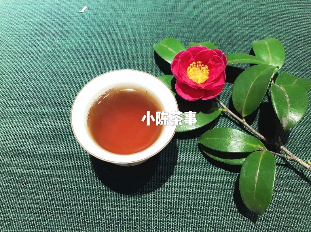 三分钟解读廉价白茶的前世今生，谁在喝廉价白茶！