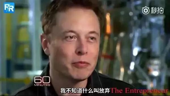 火爆全网的马斯克,马斯克霸屏