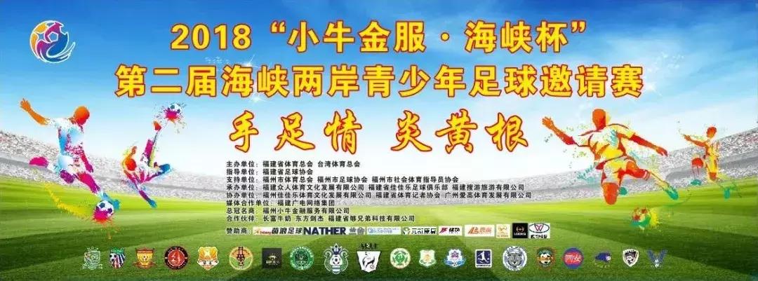 海峡两岸青少年足球邀请赛,华山杯两岸青少年足球邀请赛