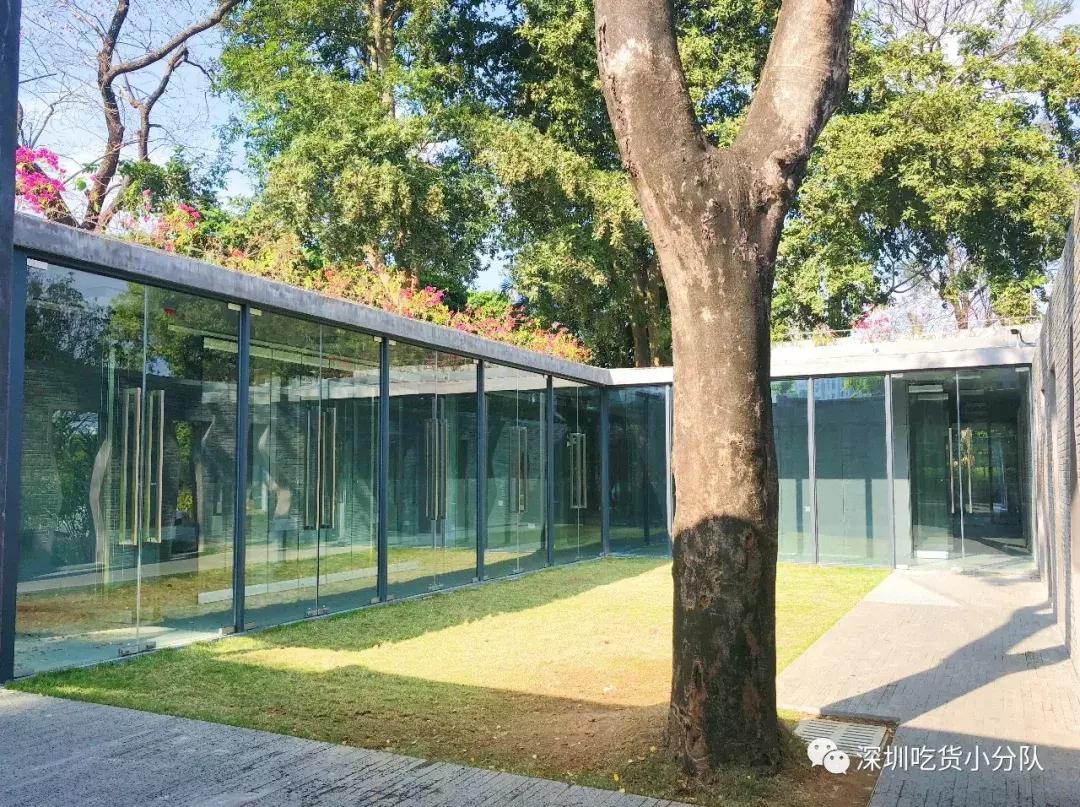 深圳福田结婚登记处环境,深圳最美结婚登记处