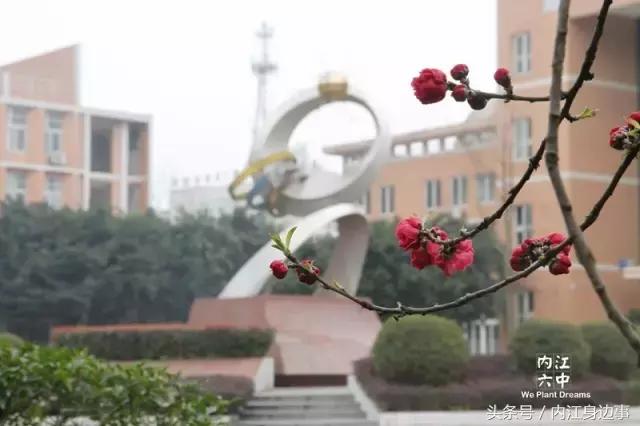 内江六中校园生活,内江六中兴隆校区校服