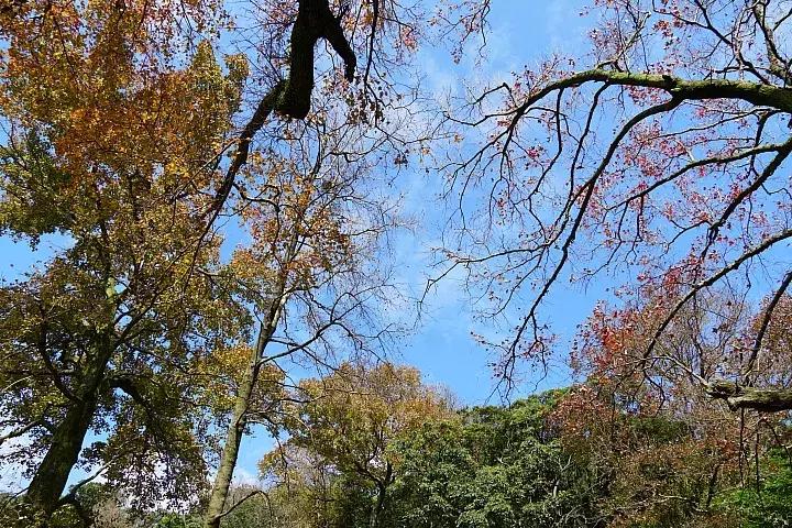 e-mount索尼,emount镜头焦段