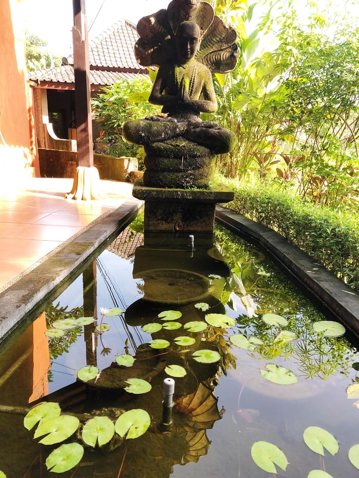 在巴厘岛的生活利与弊,巴厘岛上有哪些值得去的地方