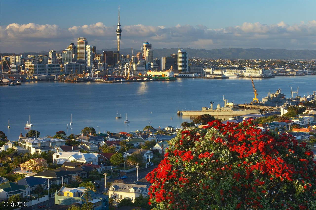 新西兰指环王拍摄地图片,指环王取景地带动新西兰旅游发展