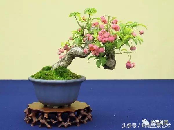 过年送礼好不好,过年送礼单数还是双数好