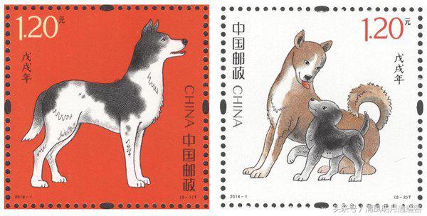 2018年属狗的宝宝几点出生最好,1970年十月出生属狗2022运势