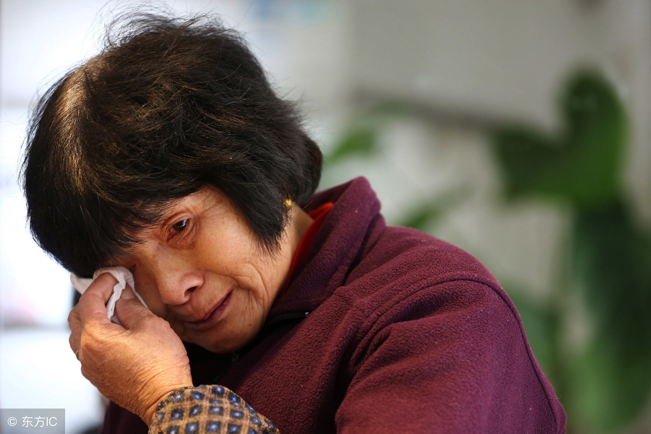 8个你不知道的冷知识!狗不能吃海带!