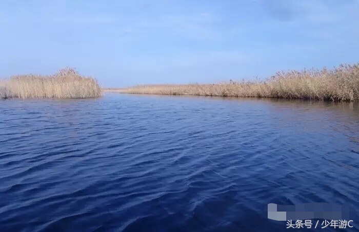 有2个浙江或6个台湾大,农民人均收入直逼上海,它就是*疆新**若羌县