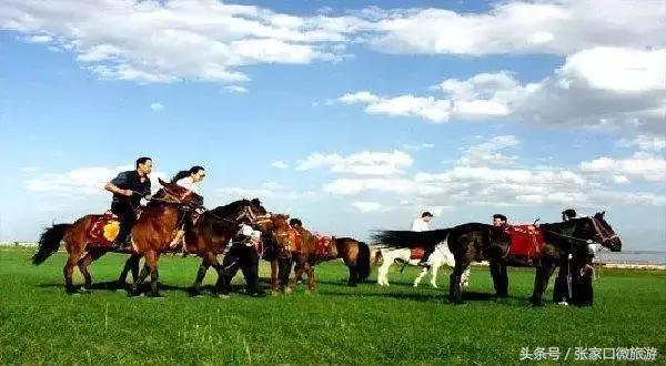 张北的草原,张北草原人少景美
