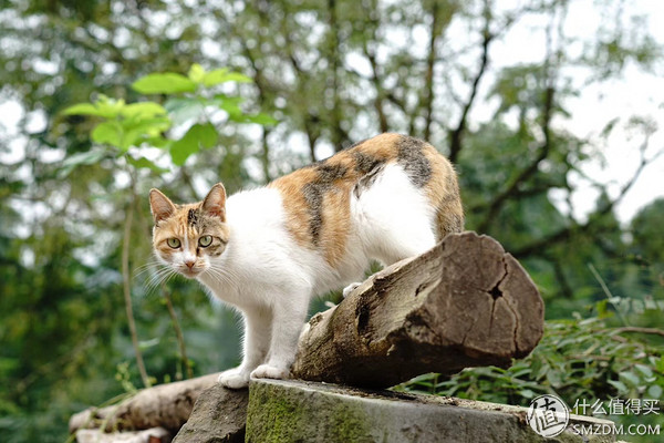 带着相机旅行记,带相机旅行记录