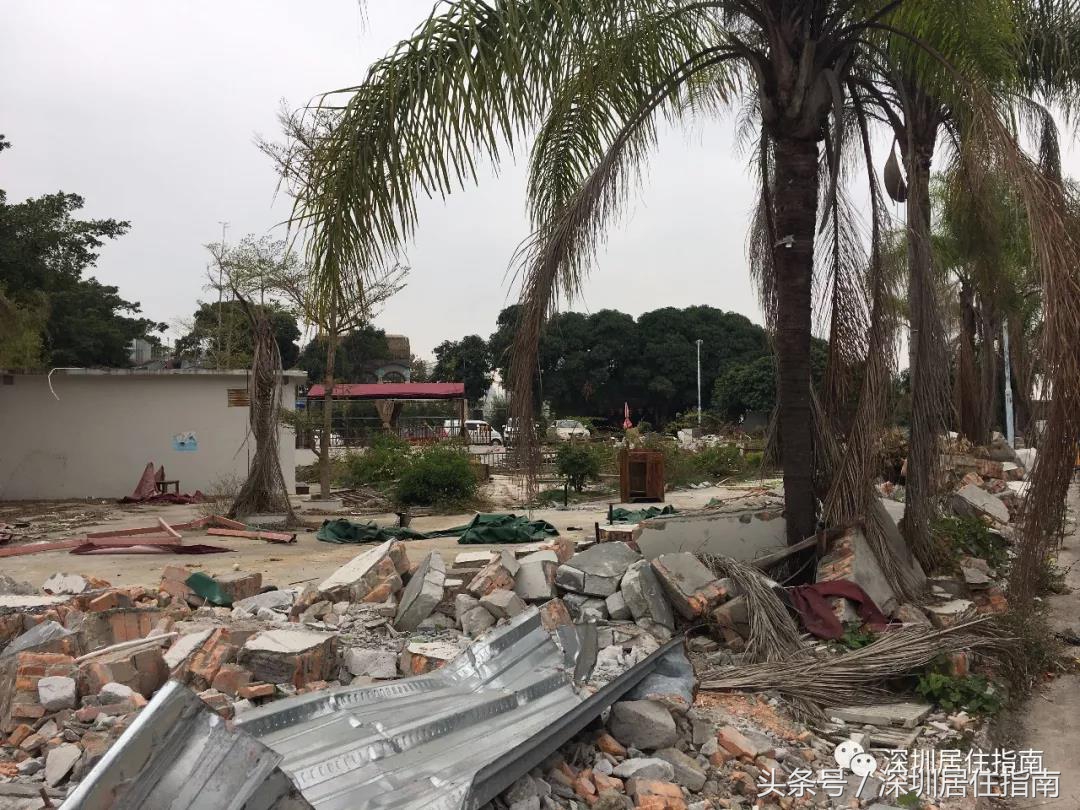 香蜜湖德仕堡新闻,香蜜湖1979拆除最新消息