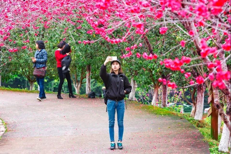 请到广东过大年2017,2018请到肇庆过大年