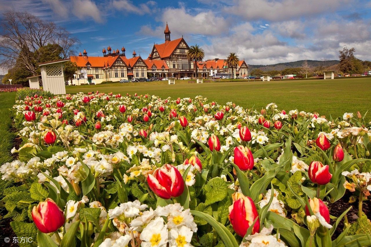 新西兰指环王拍摄地图片,指环王取景地带动新西兰旅游发展