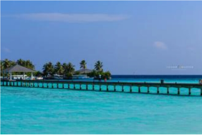 文凭只是火车票？清华是软卧？专科是硬座？那是鸡汤