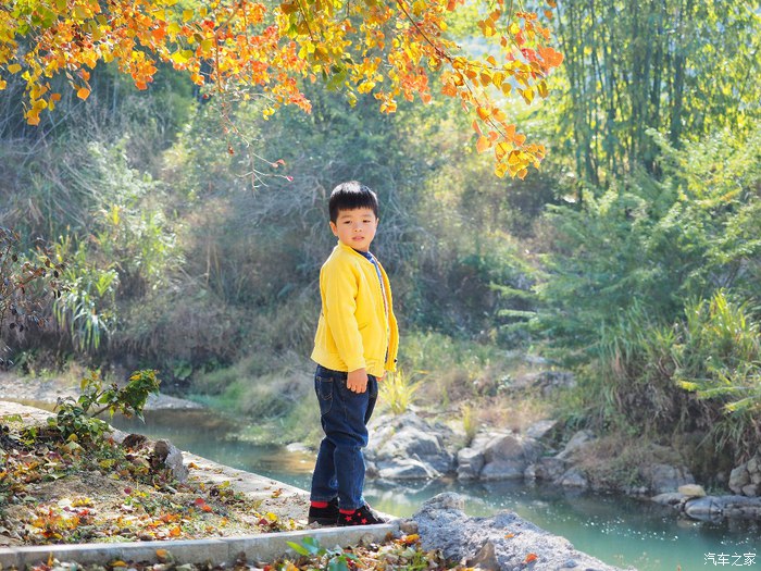 经典福克斯手动自驾游,福克斯stline自驾游