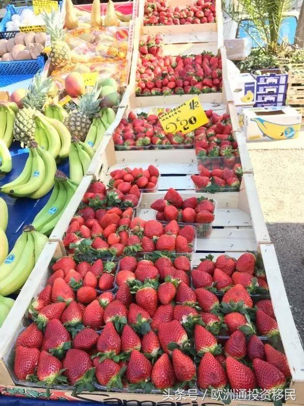 希腊的工资收入和物价,在希腊生活消费怎么样