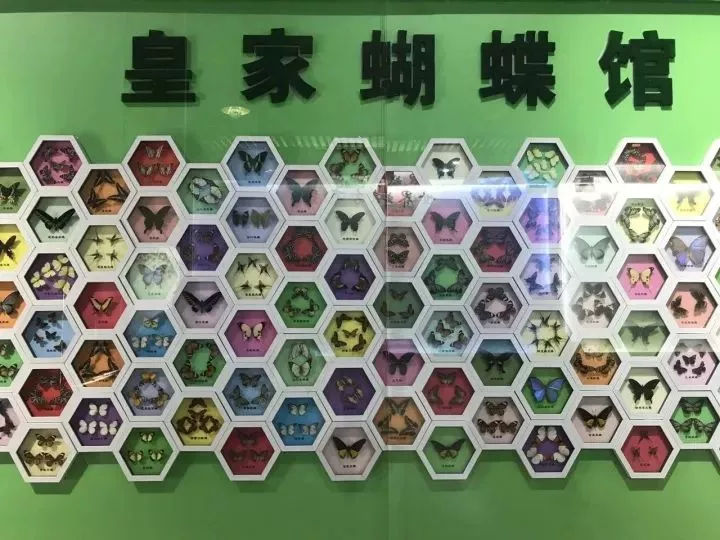 鏂版槬浣宠妭鍒板勾鍛虫棩娓愭祿,鏄ヨ妭鍒板枩姘旀磱娲嬭繋鏂板勾