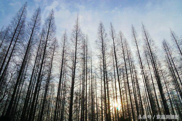 武磊身价能涨到2000万欧吗,武磊最新身价达2000万欧