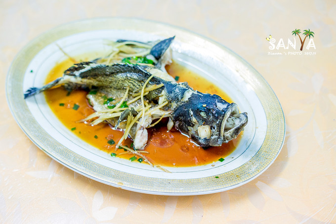 三亚离海南有多少公里,三亚一生去几次