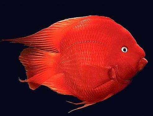 微信头像图片大全2021最火头像男,微信头像2021年好运山水微信头像