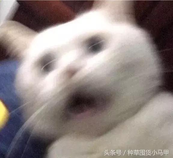 代购骗局揭秘套路,远离假代购真相