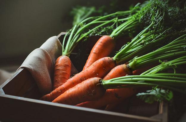 女子备孕一定不能吃的食物,备孕不能吃的食物24种