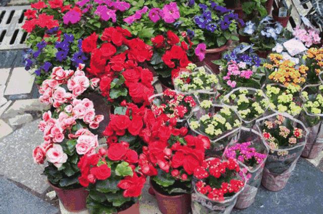 春节留深,去哪里买年货又省又全?