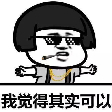 宠物猫自动喂食器推荐,宠物猫智能喂食器和智能喂水器