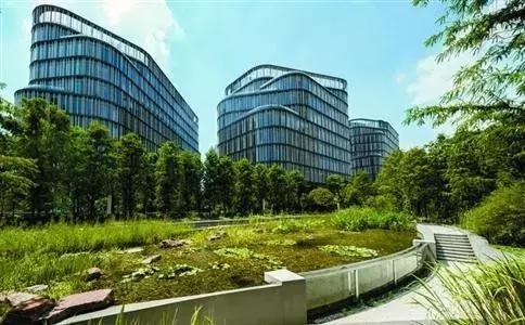 2017年谁是总冠军,2017年谁是得分王