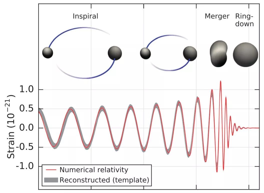 从一声啁啾中，如何窥得一丝宇宙的奥秘？｜天问专栏