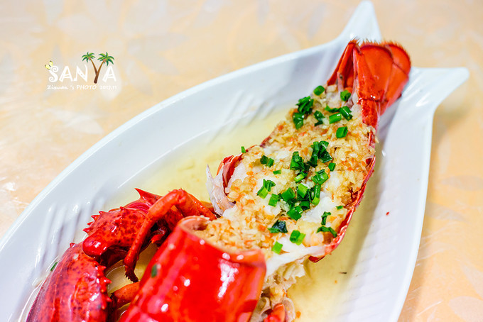 三亚离赤道有多少公里,三亚很远但是目的地并不遥远