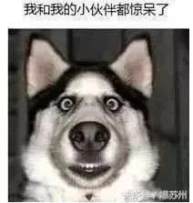 大局已定完整视频,大局已定未来可期