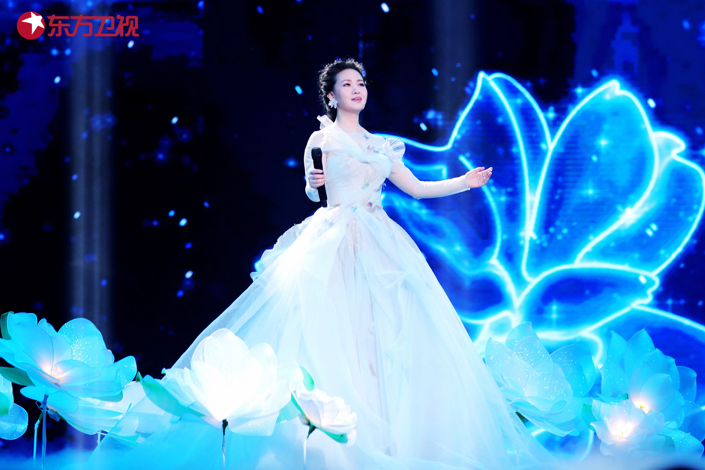 合唱李健孙俪,邓超孙俪看邓紫棋演唱会