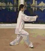 太极二十四式入门基本动作,太极入门学24式吗