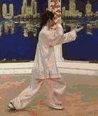 太极二十四式入门基本动作,太极入门学24式吗