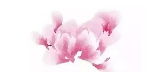 果果小写意牡丹画法教学视频,王绣写意牡丹画法零基础视频