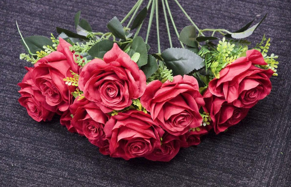 博士回村务农,博士回家当农民种植的野菜