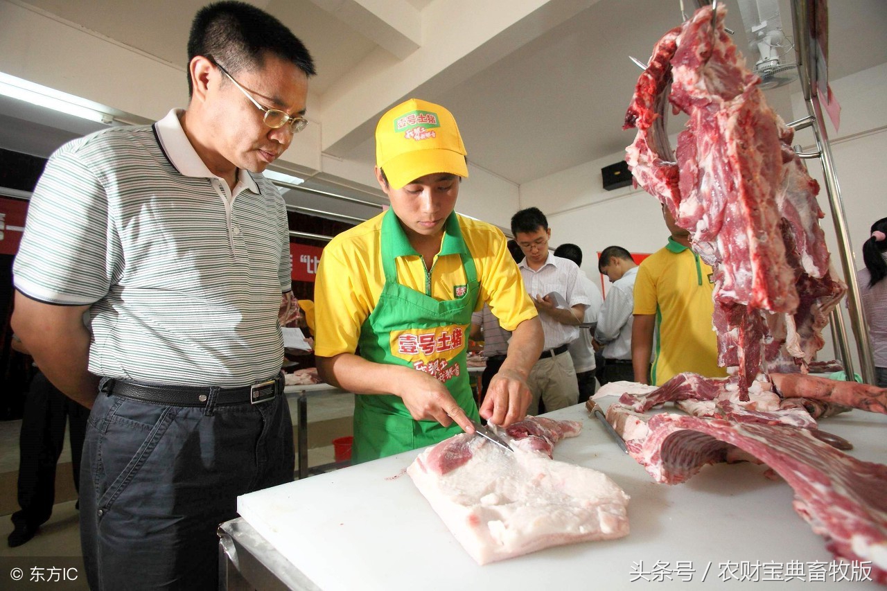 中华土猪养殖日常,养殖土猪自产自销利润怎么样