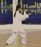 太极二十四式入门基本动作,太极入门学24式吗