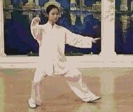 太极二十四式入门基本动作,太极入门学24式吗