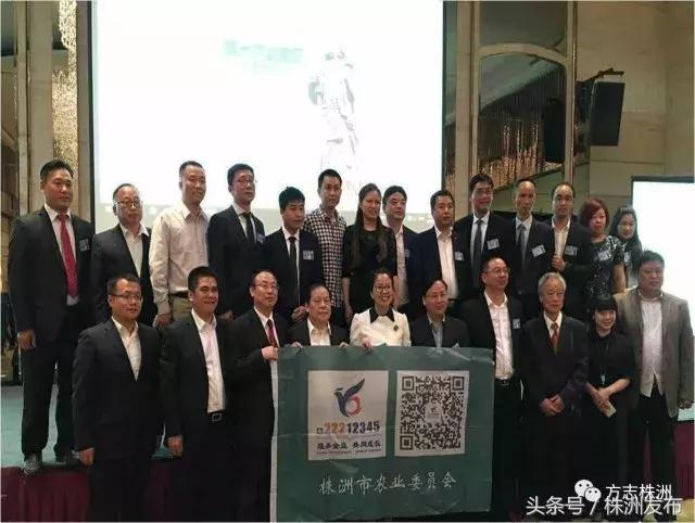 株洲攸县香干,株洲攸县最有名的十道菜